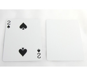 Cartes à jouer recto avec figures et verso blanc magie