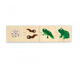 6 Puzzles en bois 4 pièces cycle de vie d'une grenouille