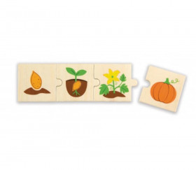 6 Puzzles en bois 4 pièces cycle de vie d'une graine