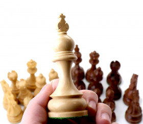 32 Pièces échecs bois T5 - TAJ buis et bois de rose
