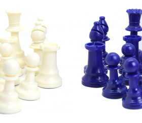 Jeu échecs apprentissage pour école, pièces bleues et blanches