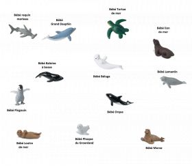 12 Animaux bébés animaux marins dans un tube de rangement