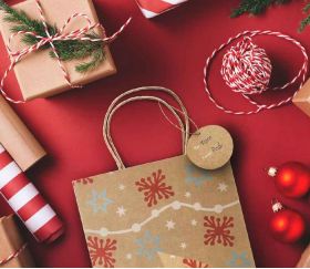 Wishstar Sac Cadeau Noel 24 Pièces，Pochette Cadeau Kraft Noel,4 Styles (6  pour Chaque Style),Sacs Cadeaux de noël,Sac en Papier de Noël avec