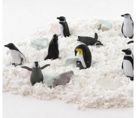 animaux arctique de la famille des pingouins
