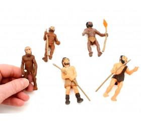 5 Figurines évolution de l'Homme