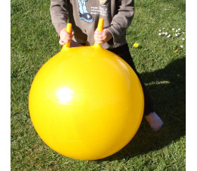 Ballon sauteur - jouet enfant 50 cm de diamètre